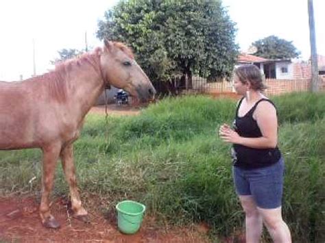 mulher pelada com animal|Mulher faz sexo com animais e ama deixar gozar dentro